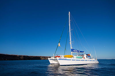 Nemo II Cruise Traveling the Galapagos Islands