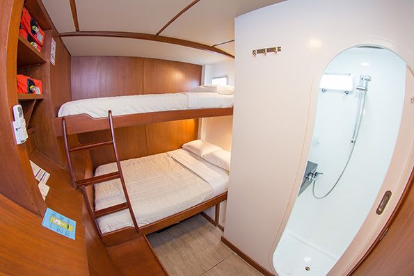 Standard Cabin 5 Nemo II Galapagos Cruise
