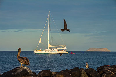 Galapagos Harmony Traveling the Galapagos Islands