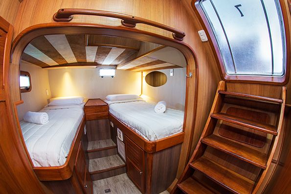 Standard Cabin 7 Nemo III Galapagos Cruise